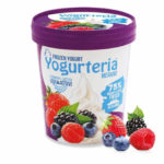 Frozen Yogurt Barattolo 250 Frutti Bosco Prodotto Min Risultato